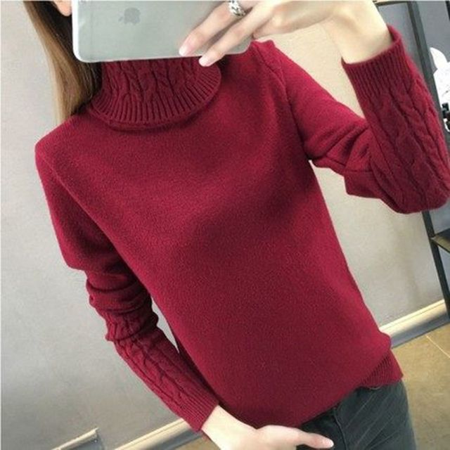 Turtleneck Sweater Long Sleeve Knitted Women Sweaters And Pullovers KilyClothing