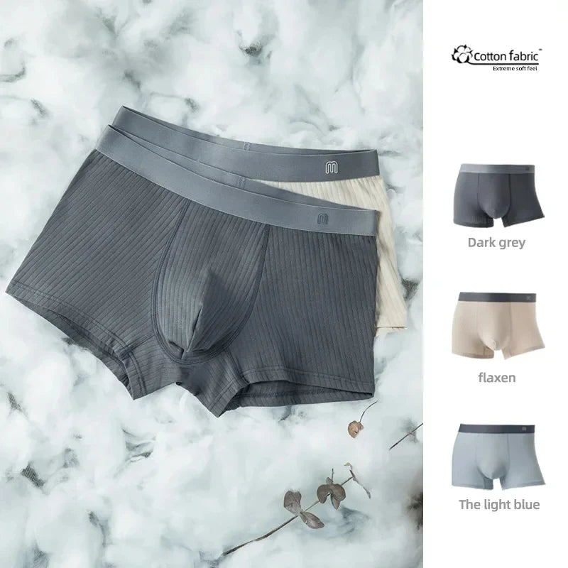 Men's Underwear Seamless 3A Antibacterial Cotton Large Size Breathable Boxers Shorts Male Elastic Panties