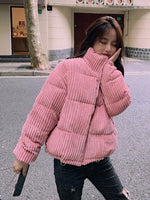 Korean Fashion Short Vintage Jacket Zipper Long Sleeve Tops Warm Parkas KilyClothing