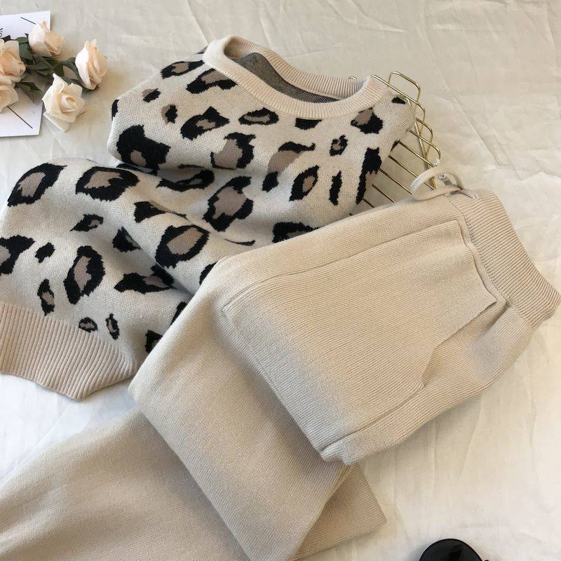 Casual Suit Female Sweatshirt Oversized Leopard Hoodie Outfits Pullover Casual Women's Tracksuit Winter Clothes KilyClothing